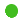 ../_images/icon-lightgreen-circle.png